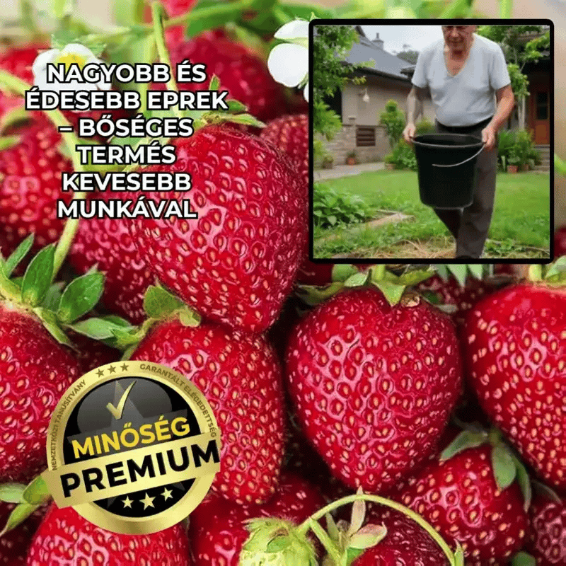 Nagy És Édes Eper Természetesen – BerryMax™
