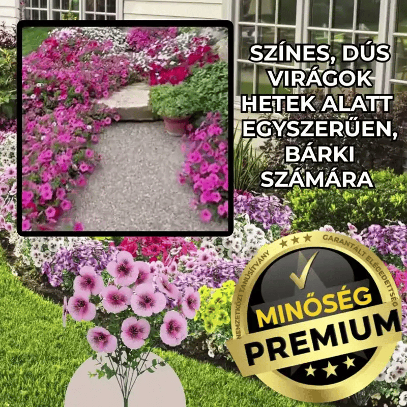 PetnColo™ Többszínű Petúnia Magok