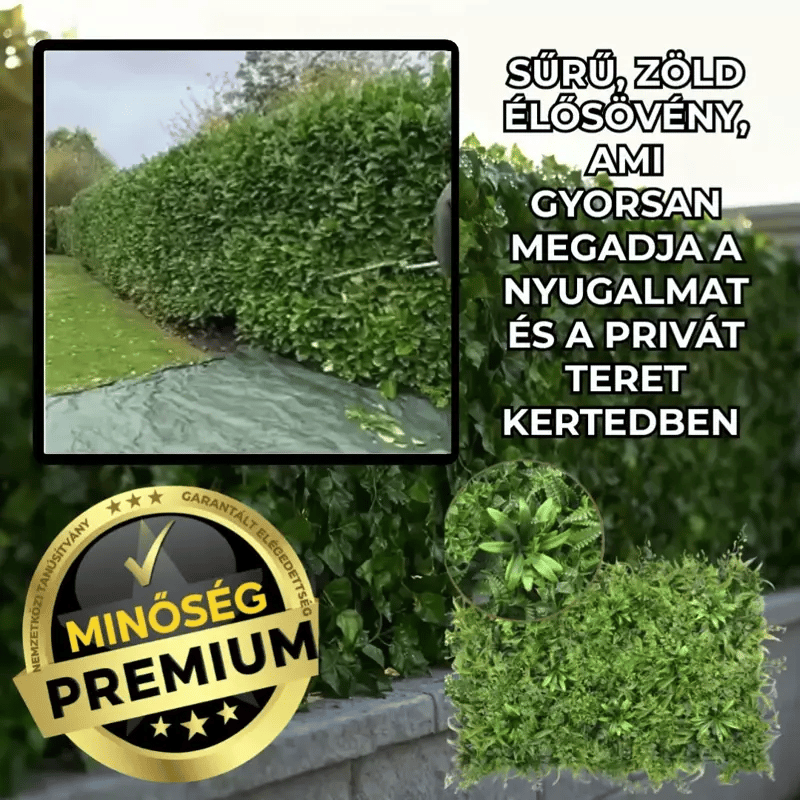 Egész Évben Zöld Sövény – GreenWall™
