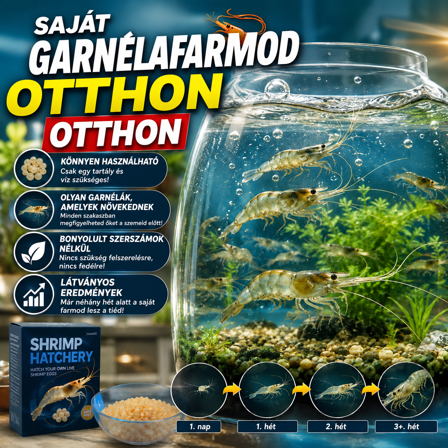 AquaCrab™ – Varázs Garnélarák Tojások