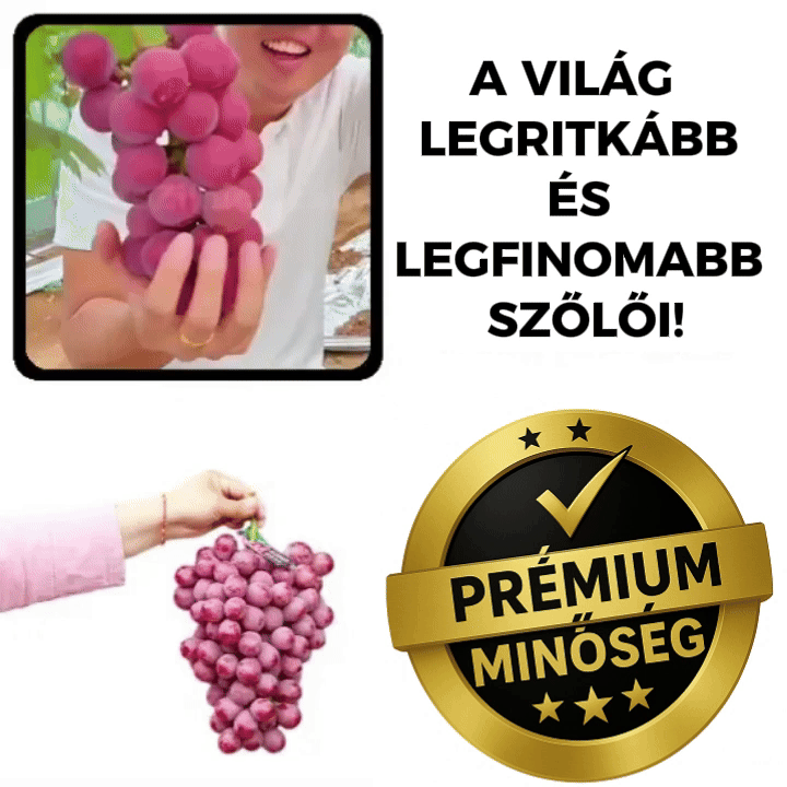 🍇 Szőlőmagok – RoyalBerry™