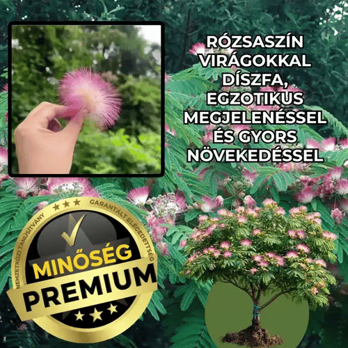 Selyemfa Díszfa – SilkTree™