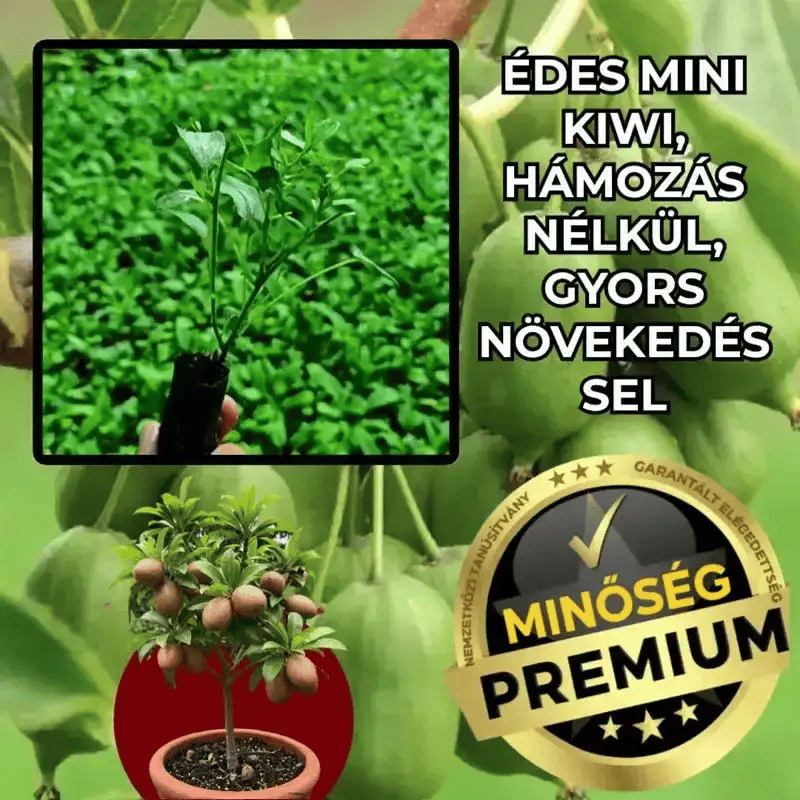 MiniKiwi™ – Hámozhatatlan Édes Kiwi