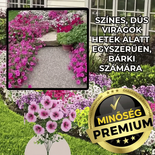 PetnColo™ Többszínű Petúnia Magok