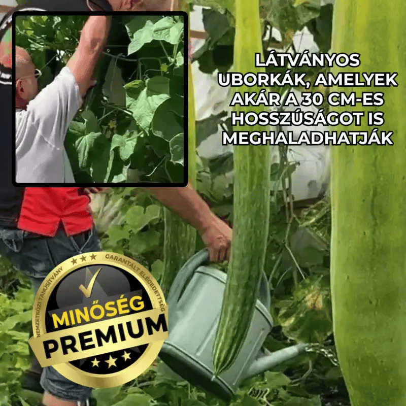 Hosszú És Óriási Uborkák – Fabio™