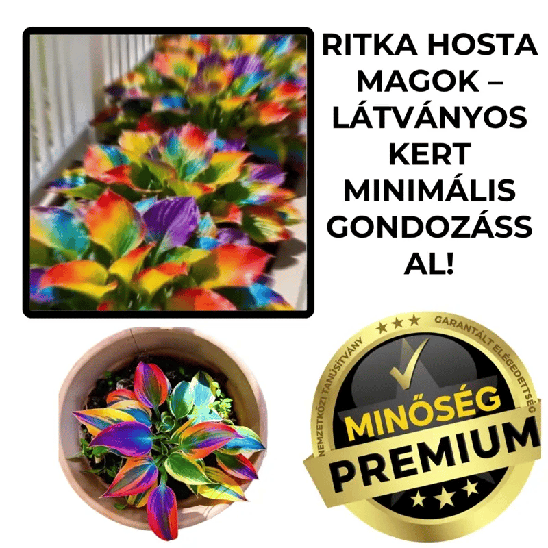HostaBloom™ Ritka Dísznövény Magok