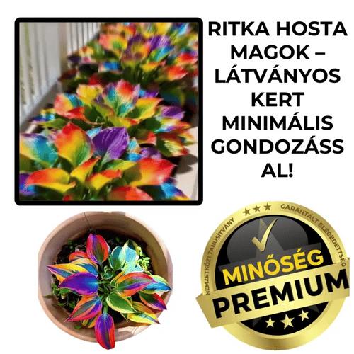 HostaBloom™ Ritka Dísznövény Magok