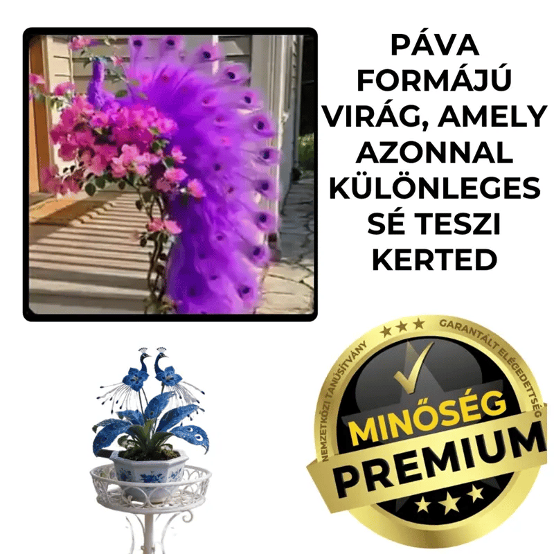 Pávaszerű Dísznövény – Bougainvillea™