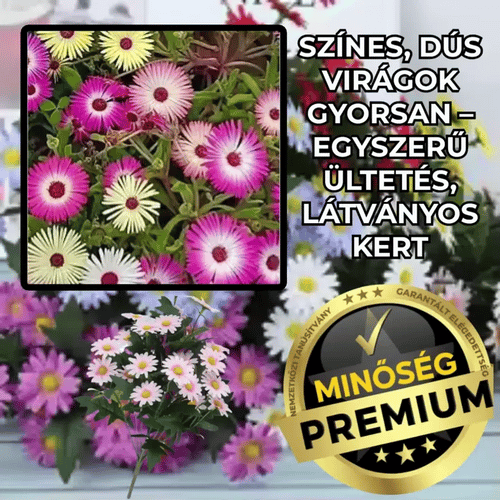 ColorMix™ - Színes Kristály Virágmag Mix