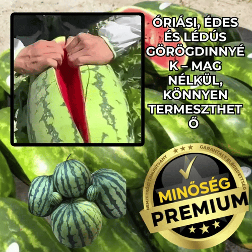 MegaMelon™ Óriás Mag nélküli Görögdinnye Magok