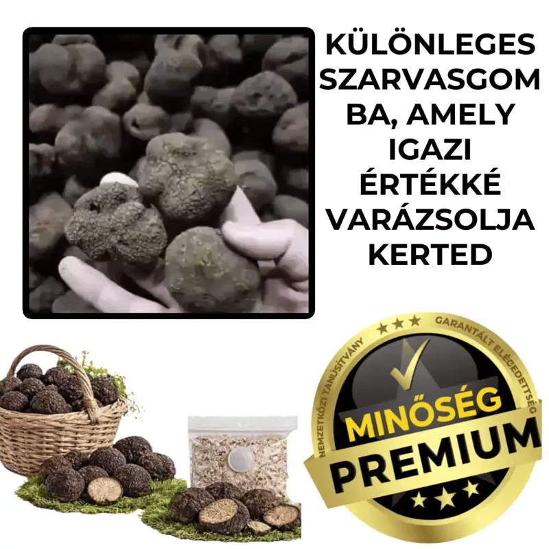 Kerti Szarvasgomba Micélium – TrufaGrow™