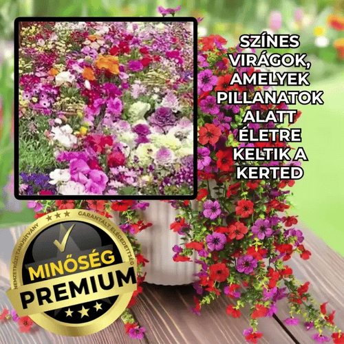 Ritka és Színes Virágmag Mix – FlowerMix™