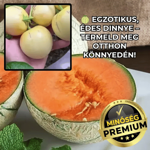 Egzotikus Pepino Dinnye Magok – PepinoGrow™
