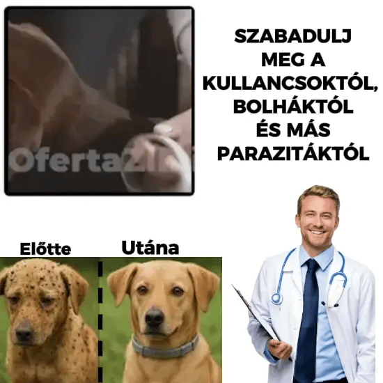 PETPROTECT™ parazitaellenes nyakörv