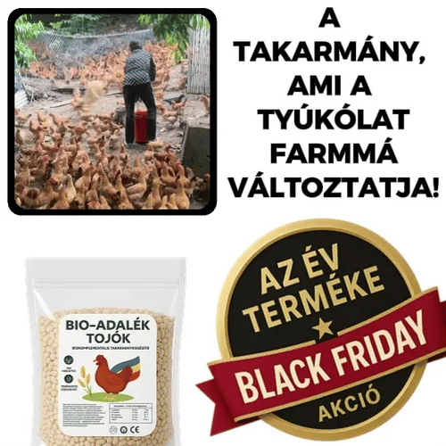 Természetes Takarmány Tyúkoknak – OMEN-BIO™