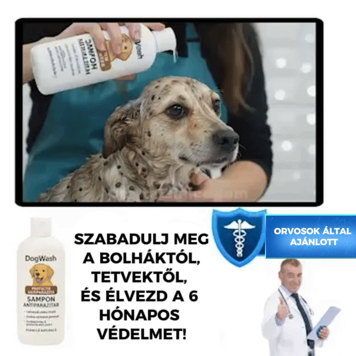 Professzionális 4 az 1-ben sampon – DogWash™