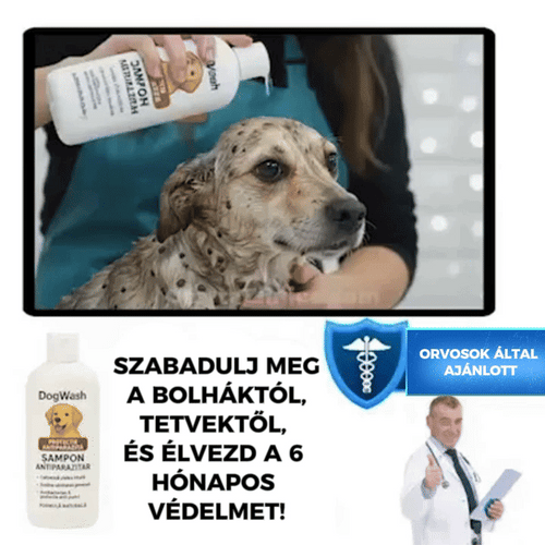 Professzionális 4 az 1-ben sampon – DogWash™